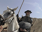 Jean Rochefort (Don Quixote)