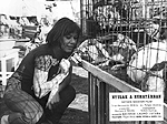 Bcskai Laur Istvn: Nyulak a ruhatrban (1971) Schtz Ila (Mari)
